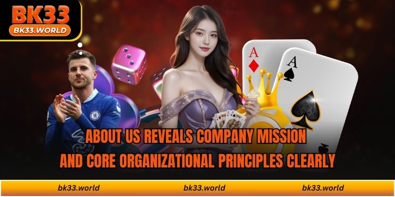 About us reveals company mission and core organizational principles clearly
