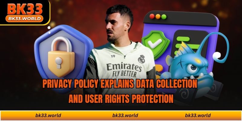Privacy policy explains data collection and user rights protection
